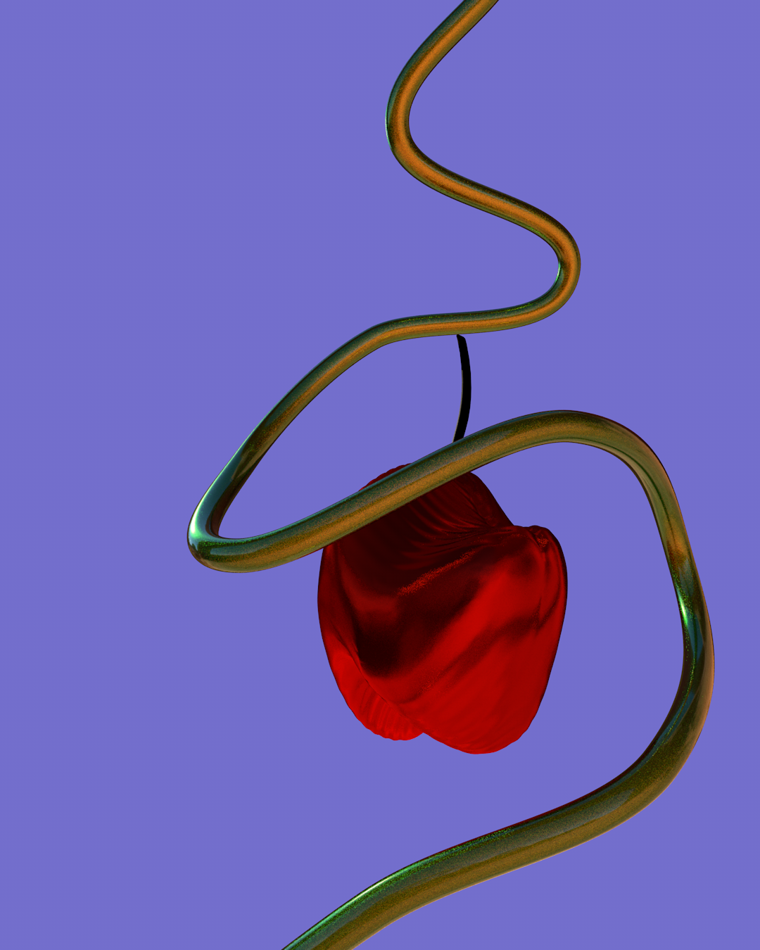 Cherry shot_17insta4_i2_0101